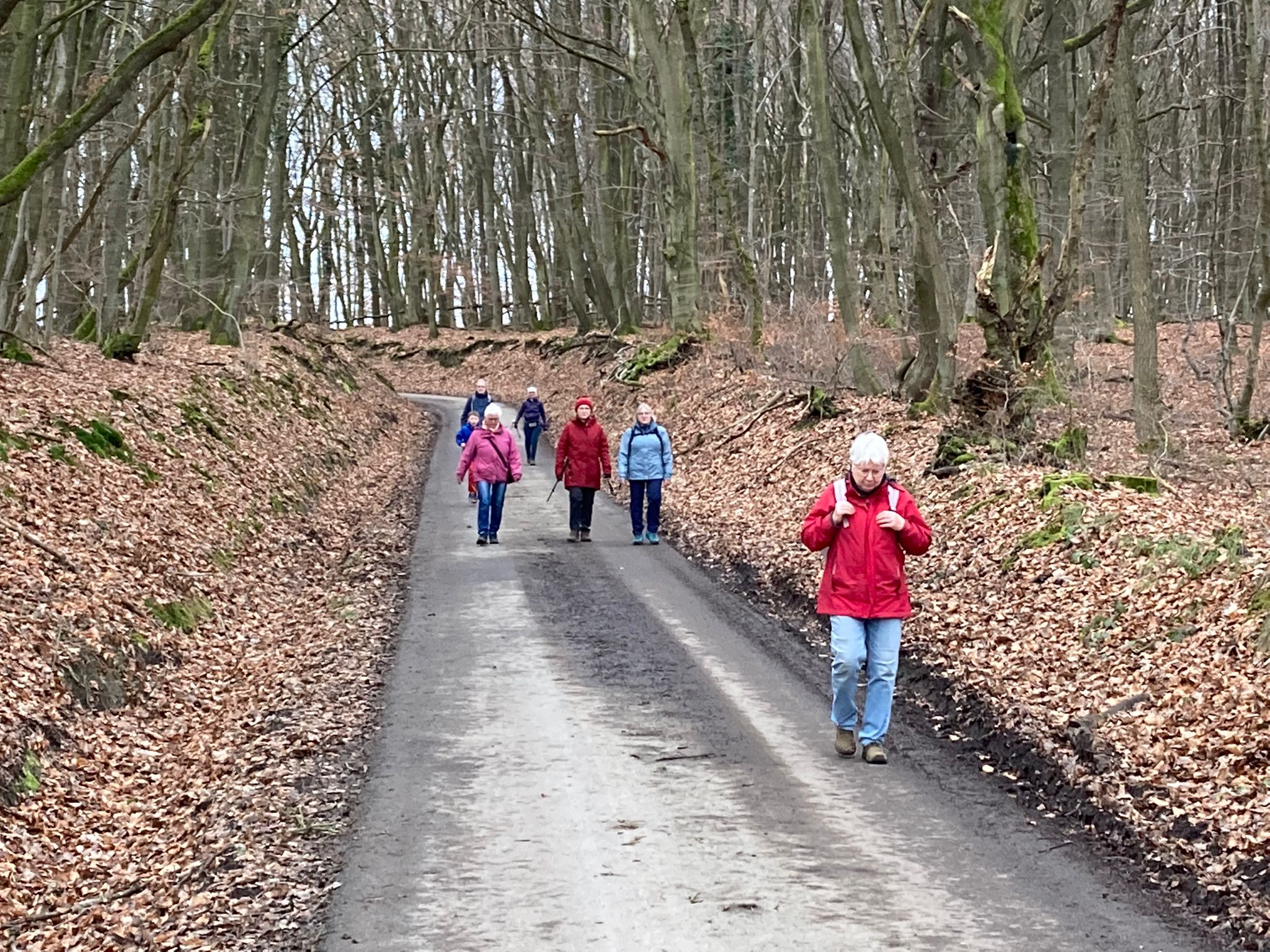 You are currently viewing Erfolgreicher Start der neuen Wandergruppe beim TuS.