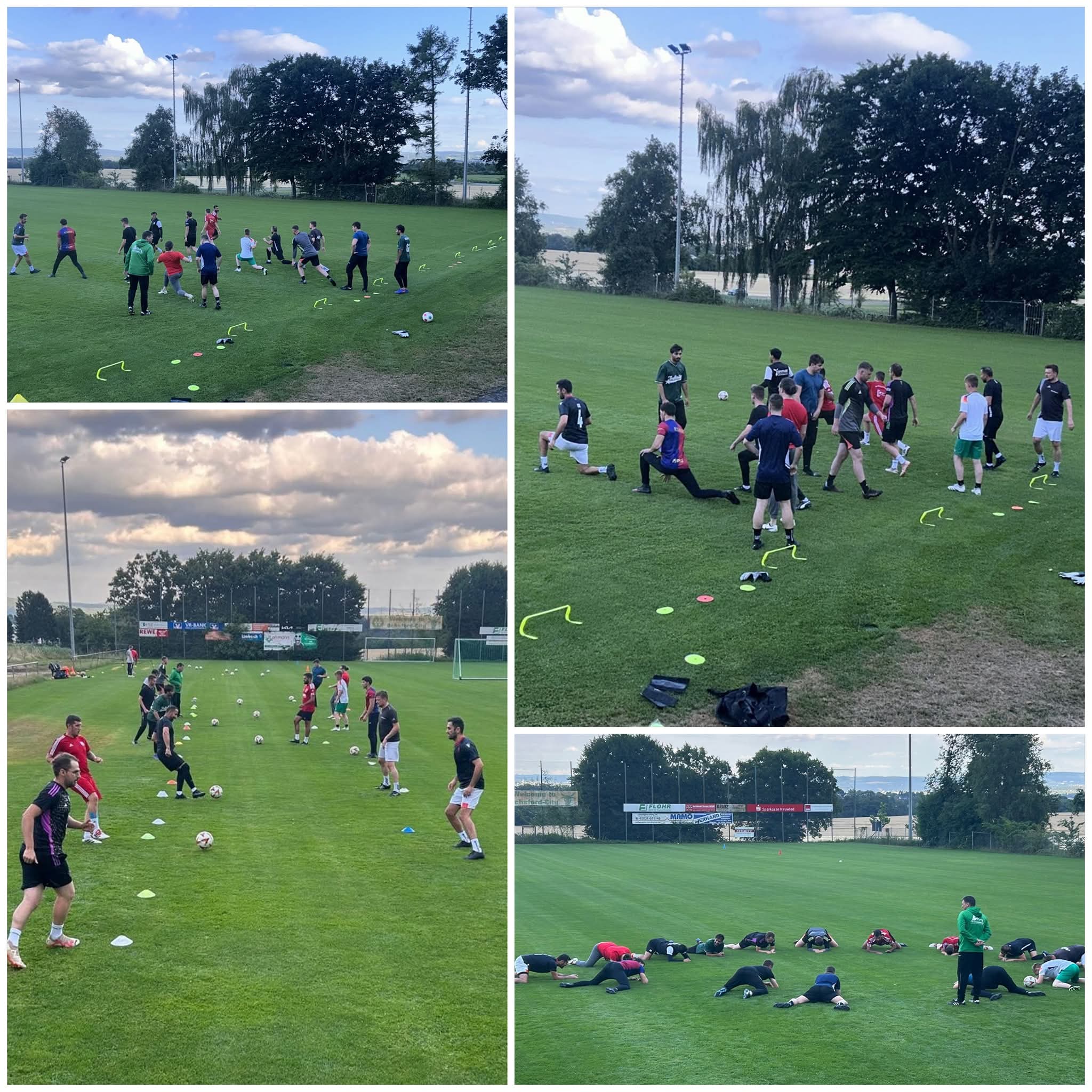You are currently viewing Guter Trainingsauftakt von den Ochsen